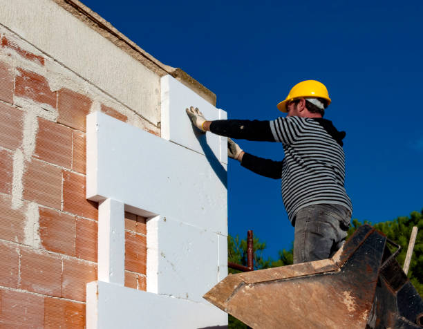 Best Types of Insulation in Eidson Road, TX