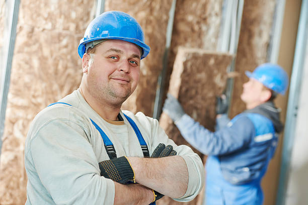 Best Insulation Materials and Products in Eidson Road, TX
