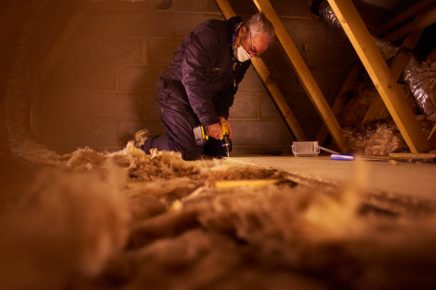 Best Insulation Installation Services in Eidson Road, TX